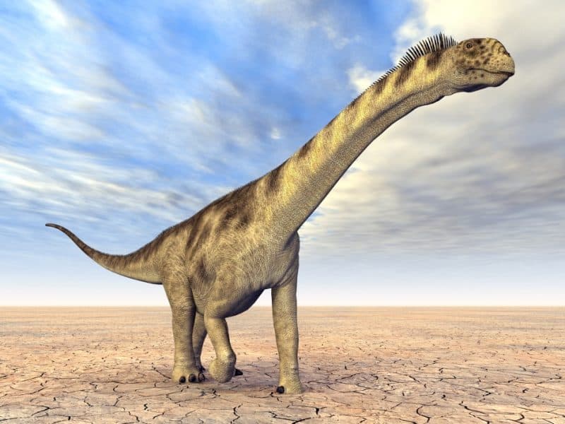 Dinozaurii povestea lor