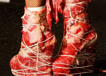 post_full_1284400915lady-gaga-meat-shoes
