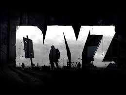 DayZ a vandut 2 milioane de exemplare in 2 ani