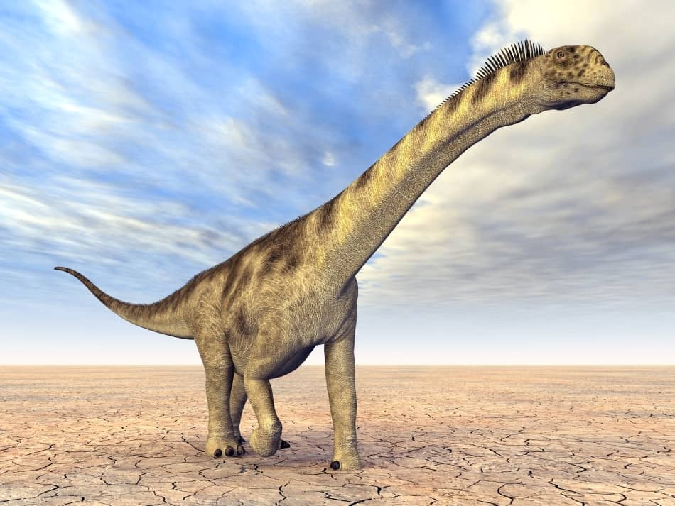 Dinozaurii, povestea lor